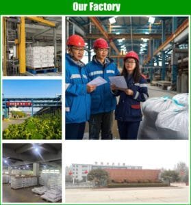 our factory