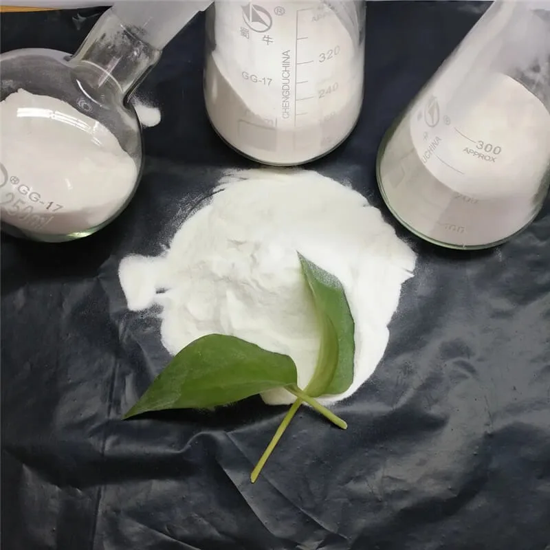 Hydroxypropyl Methylcellulose (HPMC)